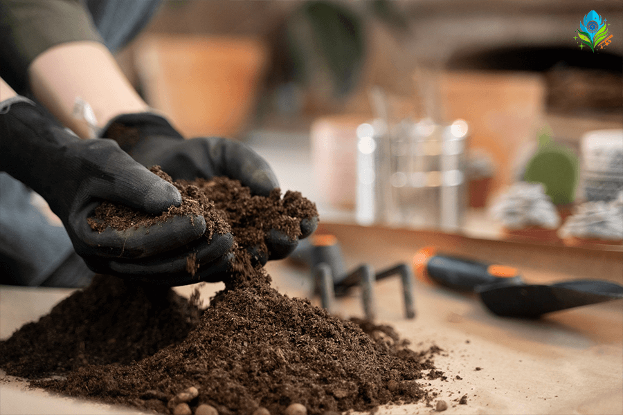 All you need to know about Soil pH