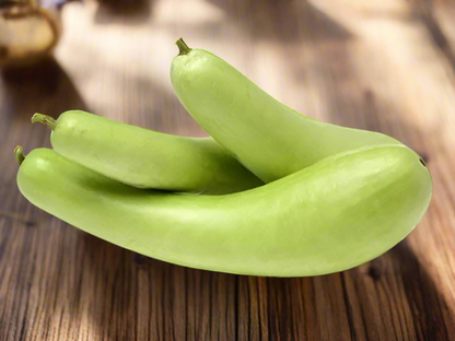 Bottle Gourd Seeds