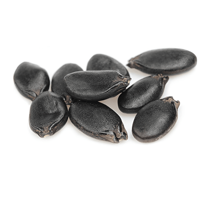 Ridge Gourd Seeds